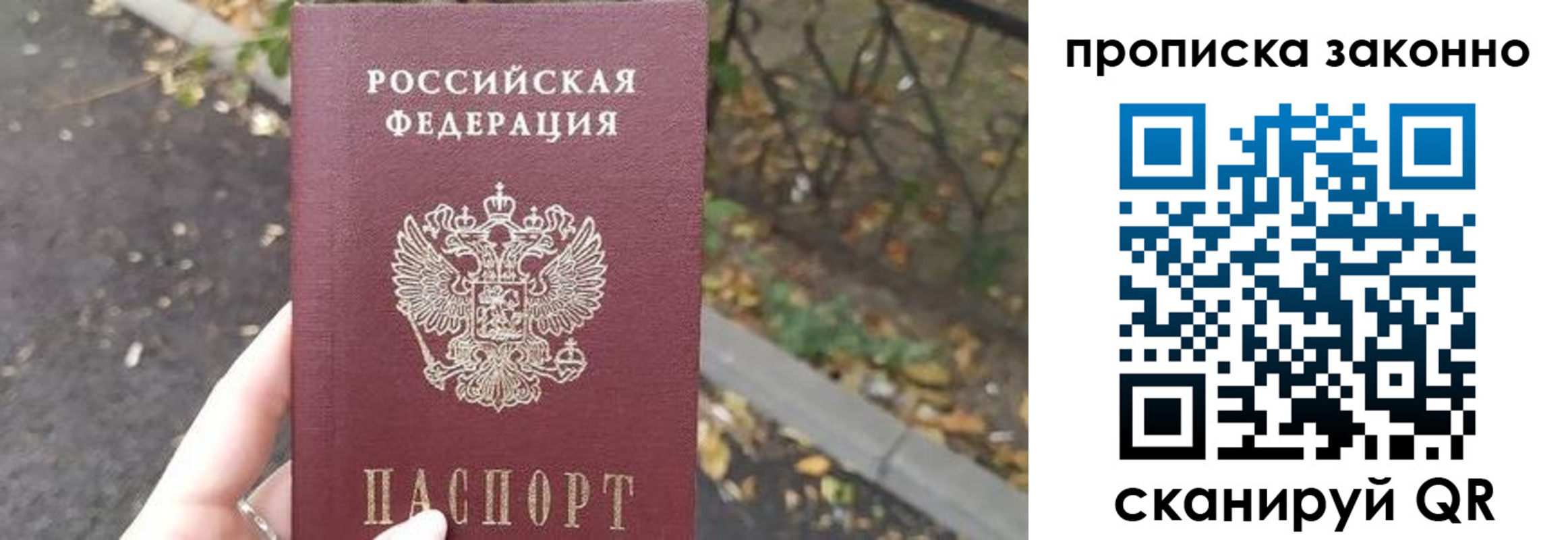 прописка для школы в Таганроге